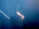 d0250039.jpg